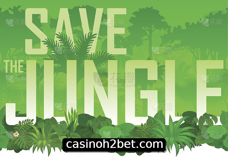 Integração de APIs H2bet